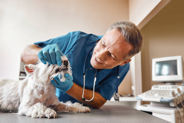 Best Emergency Treatment for Dental Infections or Abscesses in Hildebran, NC